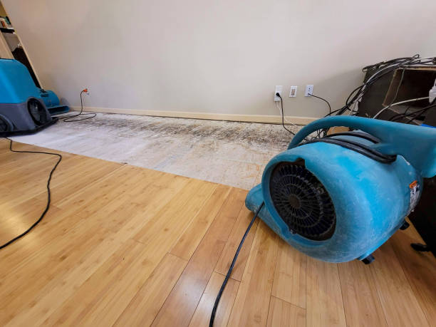 Professional Water Damage Repair technician working in Salem, UT